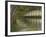 Green River-Williams-Framed Giclee Print