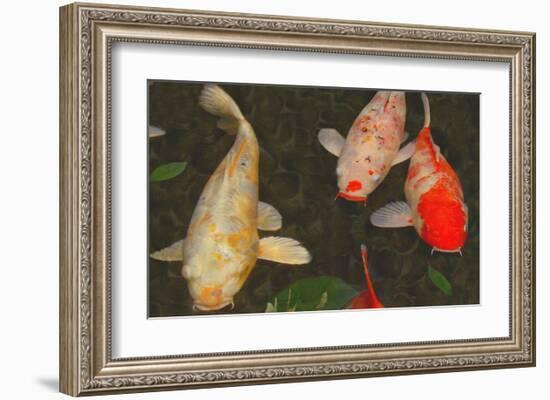 Green Rock Japanese Koi I-erichan-Framed Giclee Print