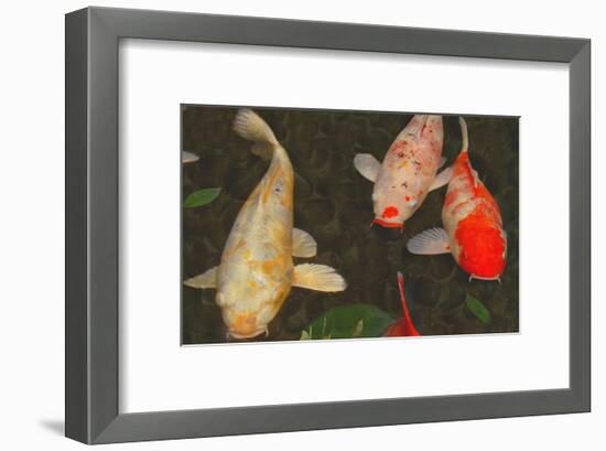 Green Rock Japanese Koi I-erichan-Framed Giclee Print