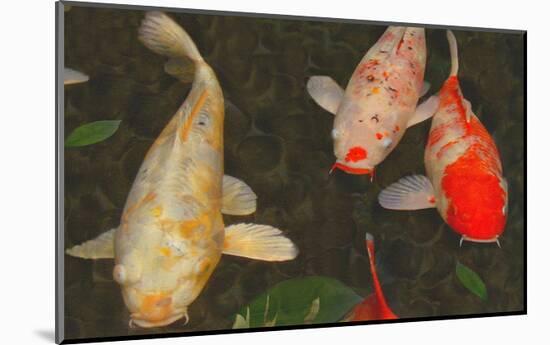 Green Rock Japanese Koi I-erichan-Mounted Giclee Print