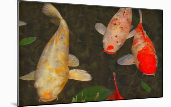 Green Rock Japanese Koi I-erichan-Mounted Giclee Print