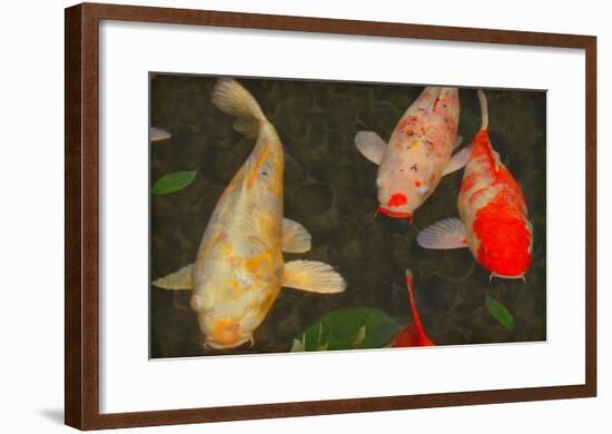 Green Rock Japanese Koi I-erichan-Framed Giclee Print