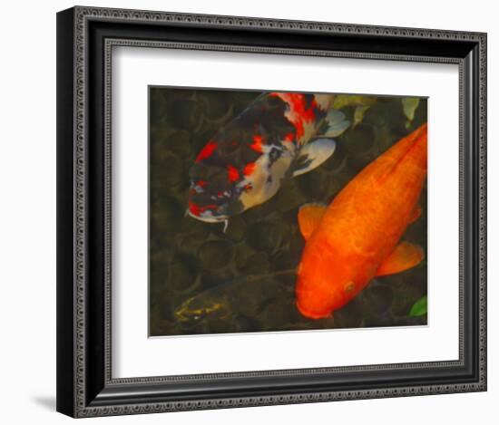 Green Rock Japanese Koi II-erichan-Framed Giclee Print