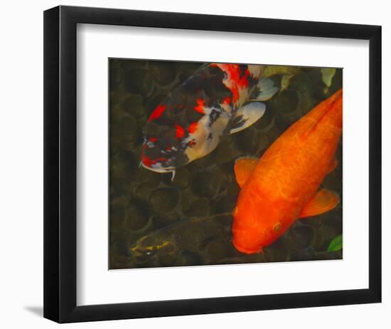 Green Rock Japanese Koi II-erichan-Framed Giclee Print