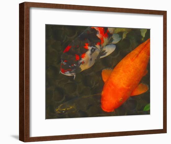 Green Rock Japanese Koi II-erichan-Framed Giclee Print