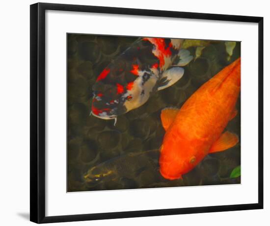 Green Rock Japanese Koi II-erichan-Framed Giclee Print