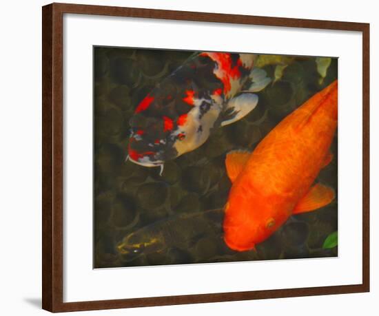 Green Rock Japanese Koi II-erichan-Framed Giclee Print