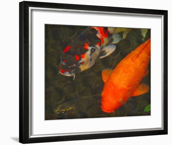 Green Rock Japanese Koi II-erichan-Framed Giclee Print