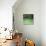 Green Rocks and River-Micha Pawlitzki-Photographic Print displayed on a wall