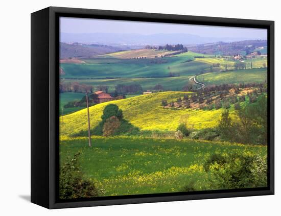 Green Rolling Hills and Spotted Yellow Mustard Flowers, Tuscany, Italy-Janis Miglavs-Framed Premier Image Canvas