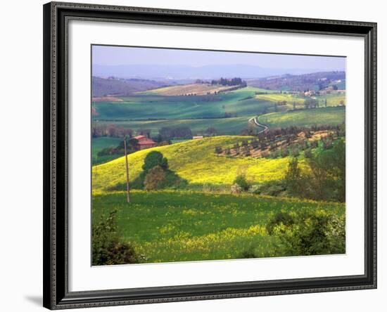 Green Rolling Hills and Spotted Yellow Mustard Flowers, Tuscany, Italy-Janis Miglavs-Framed Photographic Print