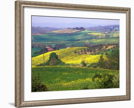 Green Rolling Hills and Spotted Yellow Mustard Flowers, Tuscany, Italy-Janis Miglavs-Framed Photographic Print