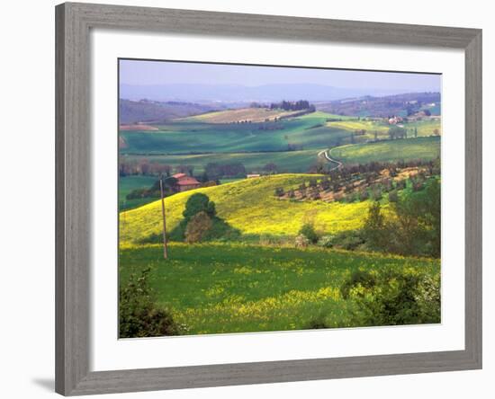 Green Rolling Hills and Spotted Yellow Mustard Flowers, Tuscany, Italy-Janis Miglavs-Framed Photographic Print