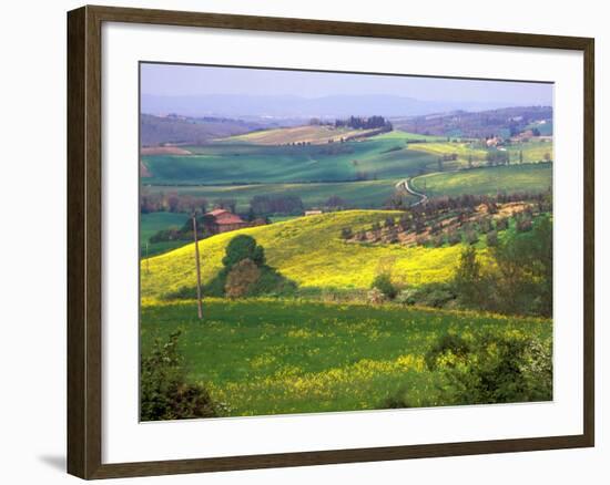 Green Rolling Hills and Spotted Yellow Mustard Flowers, Tuscany, Italy-Janis Miglavs-Framed Photographic Print