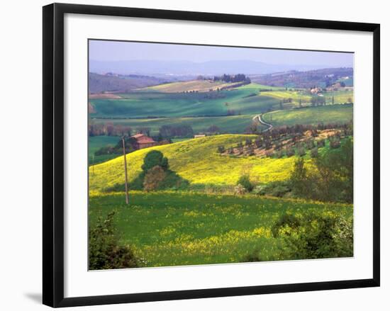 Green Rolling Hills and Spotted Yellow Mustard Flowers, Tuscany, Italy-Janis Miglavs-Framed Photographic Print