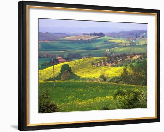 Green Rolling Hills and Spotted Yellow Mustard Flowers, Tuscany, Italy-Janis Miglavs-Framed Photographic Print