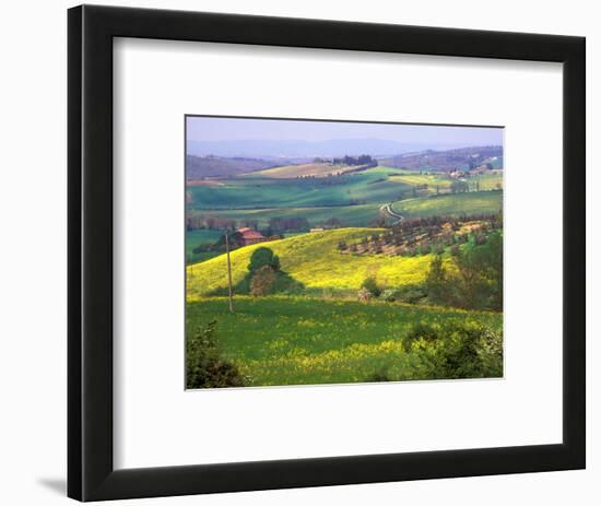 Green Rolling Hills and Spotted Yellow Mustard Flowers, Tuscany, Italy-Janis Miglavs-Framed Photographic Print