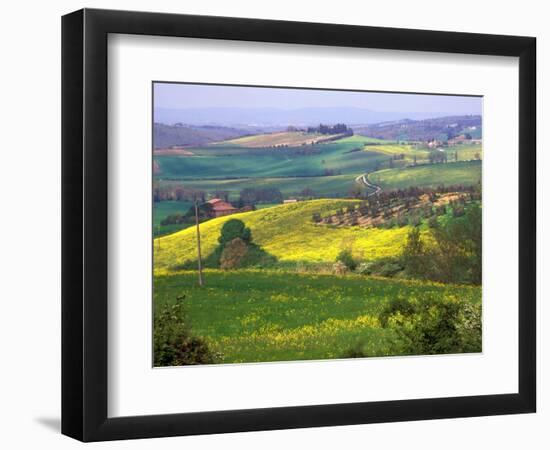 Green Rolling Hills and Spotted Yellow Mustard Flowers, Tuscany, Italy-Janis Miglavs-Framed Photographic Print