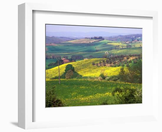 Green Rolling Hills and Spotted Yellow Mustard Flowers, Tuscany, Italy-Janis Miglavs-Framed Photographic Print