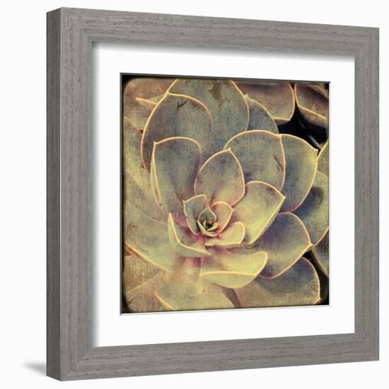 Green Rose IV-Judy Stalus-Framed Art Print