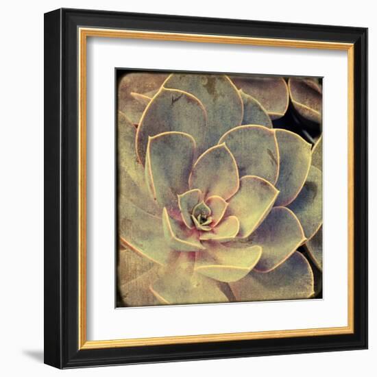 Green Rose IV-Judy Stalus-Framed Art Print