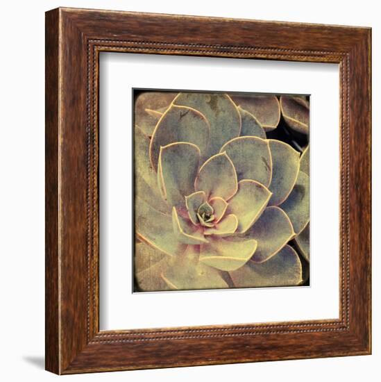 Green Rose IV-Judy Stalus-Framed Art Print