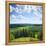 Green Rural Fields and Pine Trees. View from Top of a Hill.-Dudarev Mikhail-Framed Premier Image Canvas