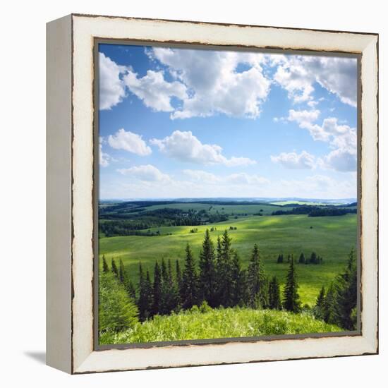 Green Rural Fields and Pine Trees. View from Top of a Hill.-Dudarev Mikhail-Framed Premier Image Canvas