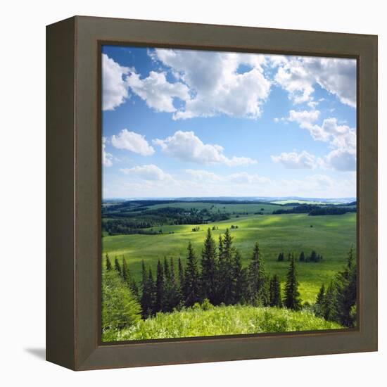 Green Rural Fields and Pine Trees. View from Top of a Hill.-Dudarev Mikhail-Framed Premier Image Canvas
