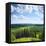 Green Rural Fields and Pine Trees. View from Top of a Hill.-Dudarev Mikhail-Framed Premier Image Canvas