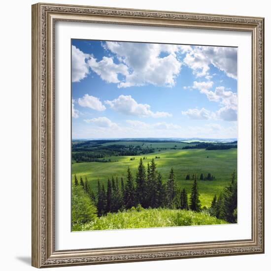 Green Rural Fields and Pine Trees. View from Top of a Hill.-Dudarev Mikhail-Framed Photographic Print