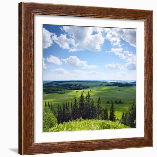 Green Rural Fields and Pine Trees. View from Top of a Hill.-Dudarev Mikhail-Framed Photographic Print