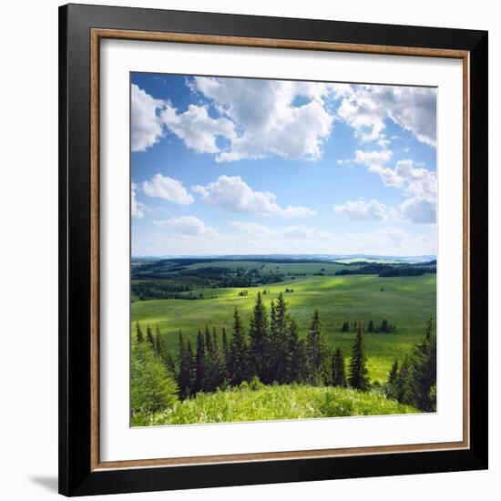 Green Rural Fields and Pine Trees. View from Top of a Hill.-Dudarev Mikhail-Framed Photographic Print