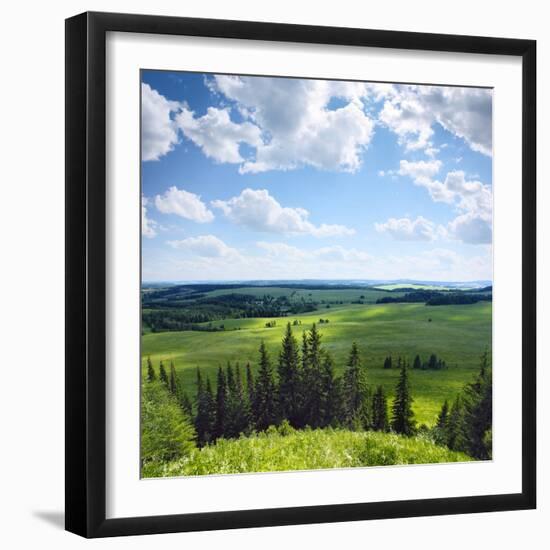 Green Rural Fields and Pine Trees. View from Top of a Hill.-Dudarev Mikhail-Framed Photographic Print