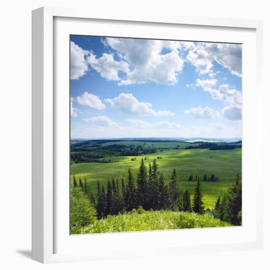 Green Rural Fields and Pine Trees. View from Top of a Hill.-Dudarev Mikhail-Framed Photographic Print