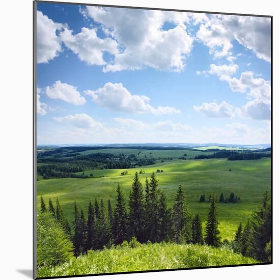 Green Rural Fields and Pine Trees. View from Top of a Hill.-Dudarev Mikhail-Mounted Photographic Print