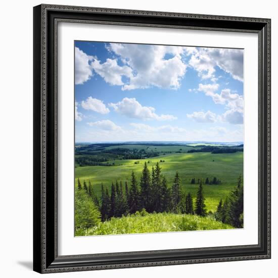 Green Rural Fields and Pine Trees. View from Top of a Hill.-Dudarev Mikhail-Framed Photographic Print