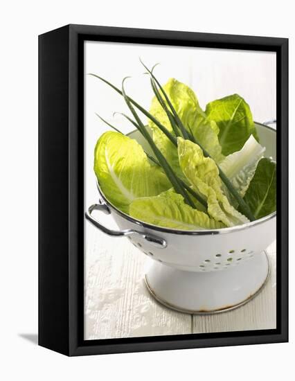 Green Salad and Chives in a Colander-Armin Zogbaum-Framed Premier Image Canvas