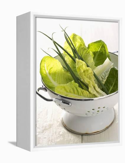 Green Salad and Chives in a Colander-Armin Zogbaum-Framed Premier Image Canvas