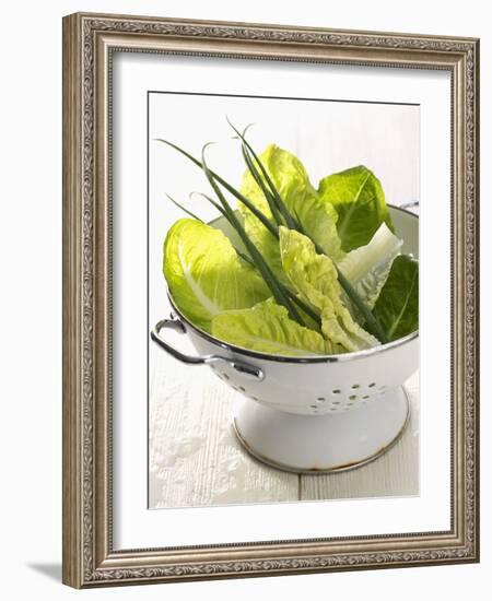 Green Salad and Chives in a Colander-Armin Zogbaum-Framed Photographic Print