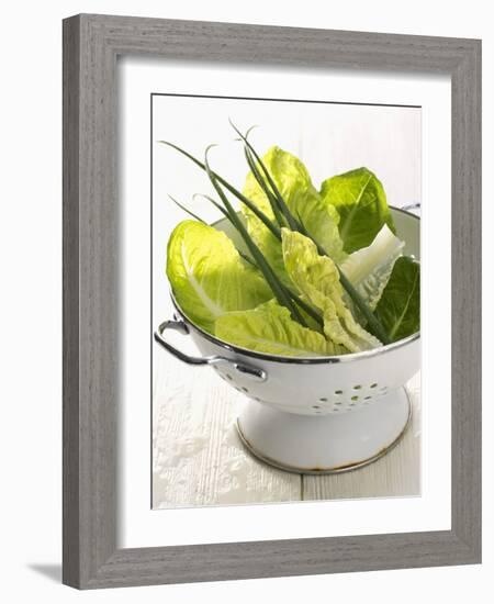 Green Salad and Chives in a Colander-Armin Zogbaum-Framed Photographic Print