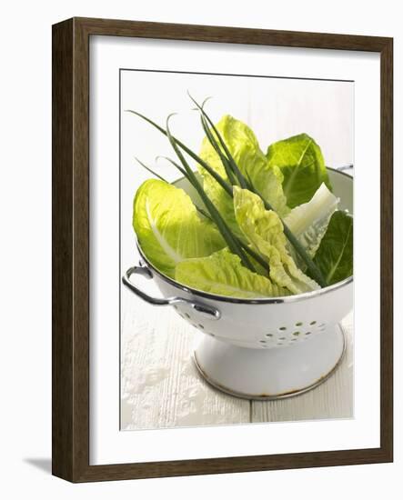 Green Salad and Chives in a Colander-Armin Zogbaum-Framed Photographic Print