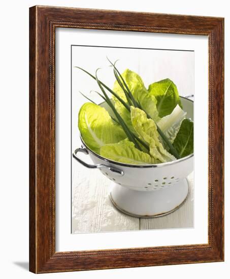 Green Salad and Chives in a Colander-Armin Zogbaum-Framed Photographic Print