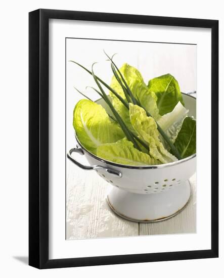 Green Salad and Chives in a Colander-Armin Zogbaum-Framed Photographic Print