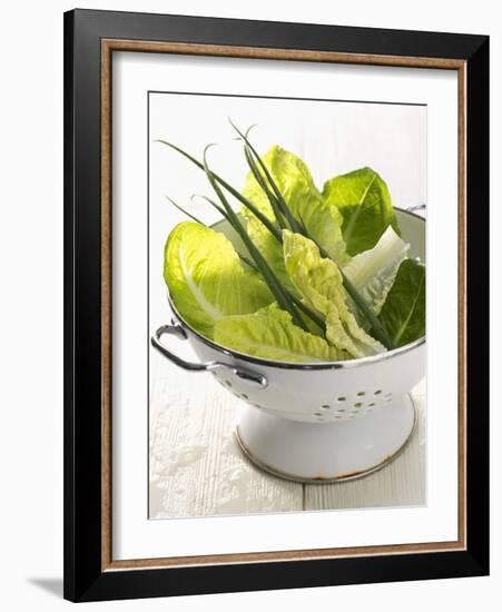 Green Salad and Chives in a Colander-Armin Zogbaum-Framed Photographic Print