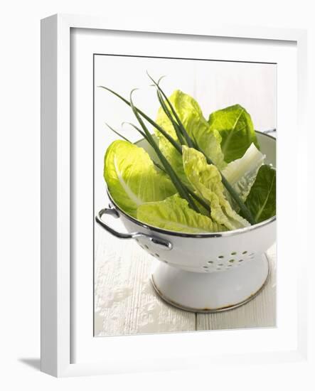 Green Salad and Chives in a Colander-Armin Zogbaum-Framed Photographic Print