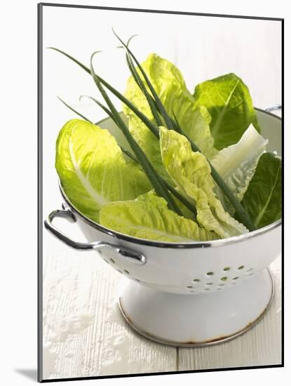 Green Salad and Chives in a Colander-Armin Zogbaum-Mounted Photographic Print