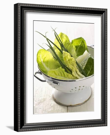 Green Salad and Chives in a Colander-Armin Zogbaum-Framed Photographic Print