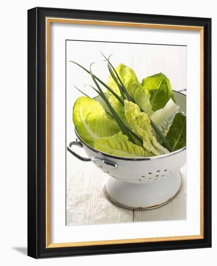 Green Salad and Chives in a Colander-Armin Zogbaum-Framed Photographic Print