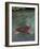 Green Sea Turtle, Bocas del Toro Islands, Panama-Art Wolfe-Framed Photographic Print